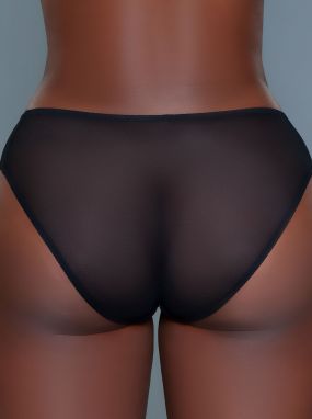 Black Embroidered Mesh Panty