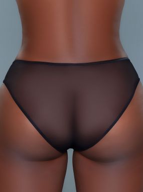 Black Sheer Mesh Bikini Cut Panty W/ Piping