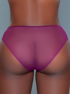 Purple Sheer Mesh Bikini Cut Panty W/ Piping