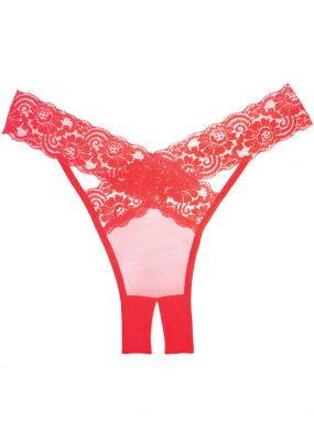 Red Mesh & Lace Desire Crotchless Panty