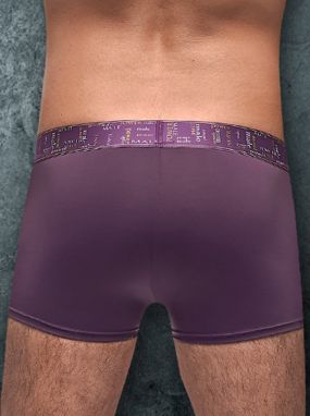 Purple Avant-Garde Microfiber Men's Enchancer Short