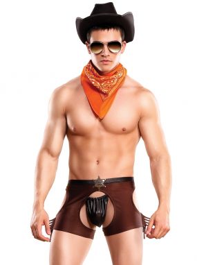Cocky Men's Cowboy Costume