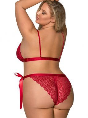 Plus Size Red Scalloped Lace & Mesh Sugar & Spice Bralette & Tie-Side Panty Set